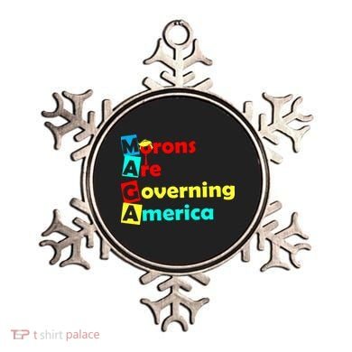 Morons Are Governing America Ornament