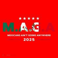 Mexicans AinT Going Anywhere Santa Hat thumb 1