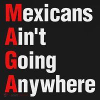 Mexicans AinT Going Anywhere Mexico Immigrates Funny Polo thumb 3