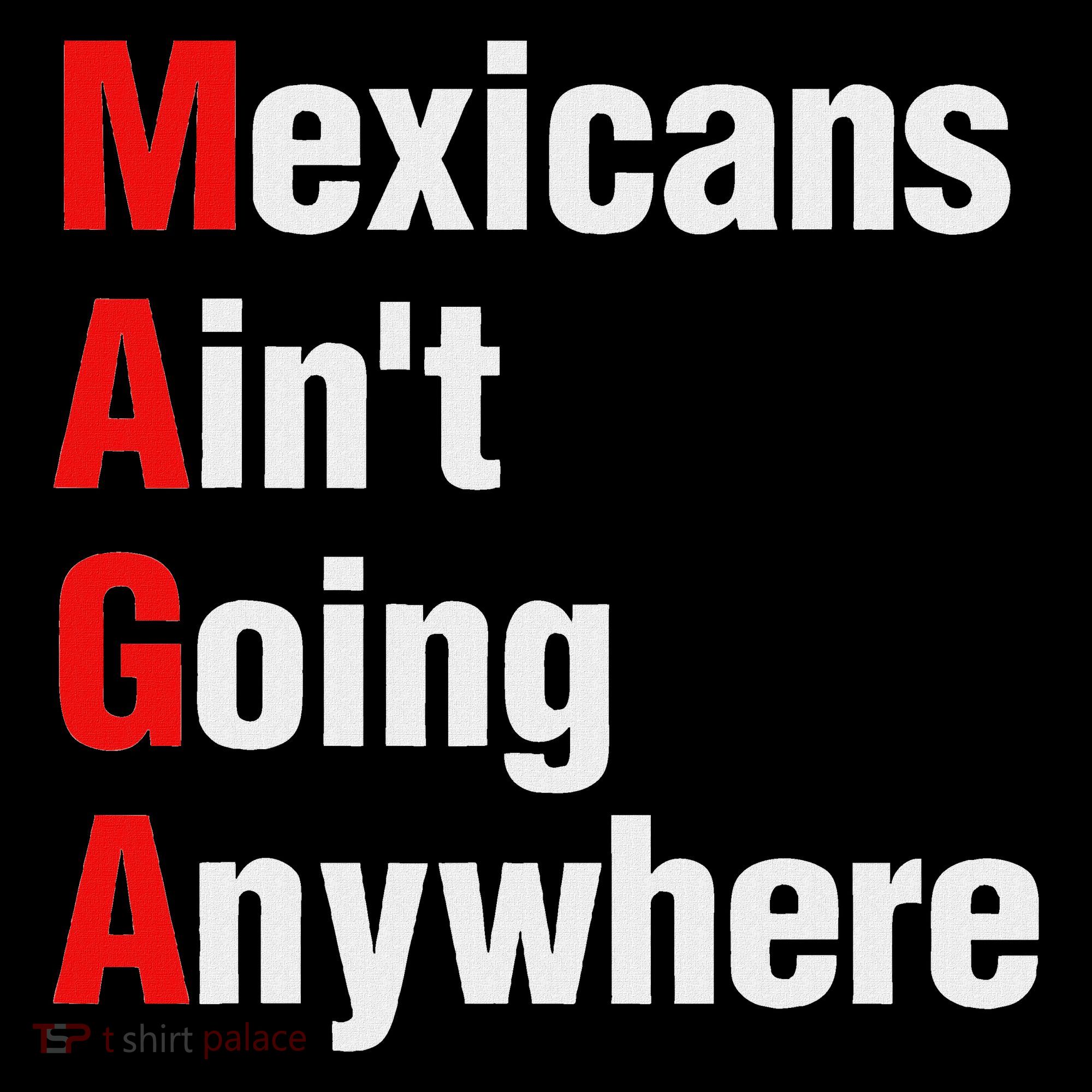 Mexicans AinT Going Anywhere Mexico Immigrates Funny Women's Hoodie