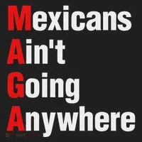 Mexicans AinT Going Anywhere Mexico Immigrates Funny Hat thumb 2