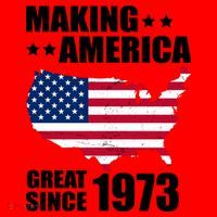 Making America Great Since 1973 Birthday Santa Hat thumb 1
