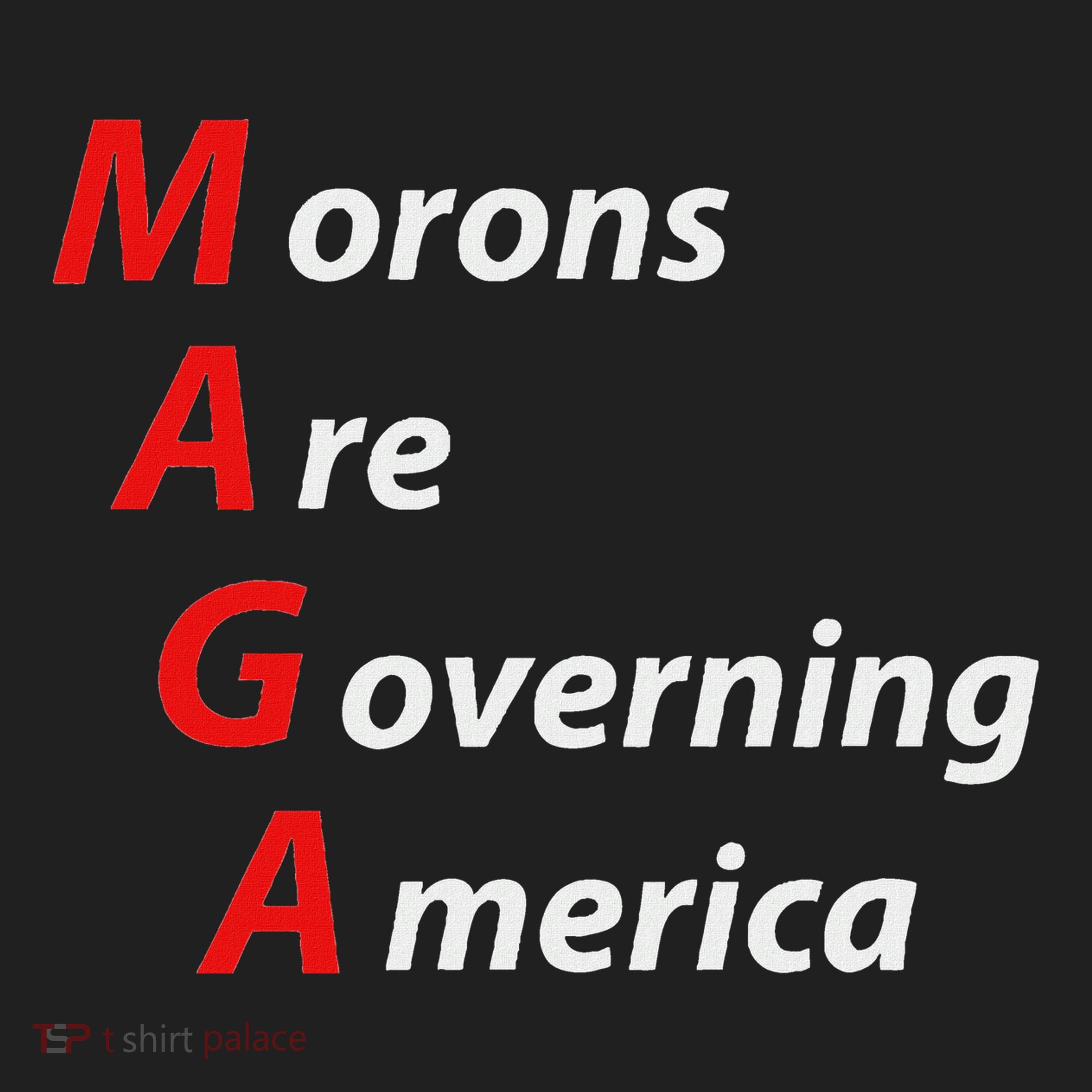 Morons Are Governing America Anti Trump Political Hat