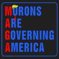 Morons Are Governing America Funny Trump 2024 (5) Hat thumb 2