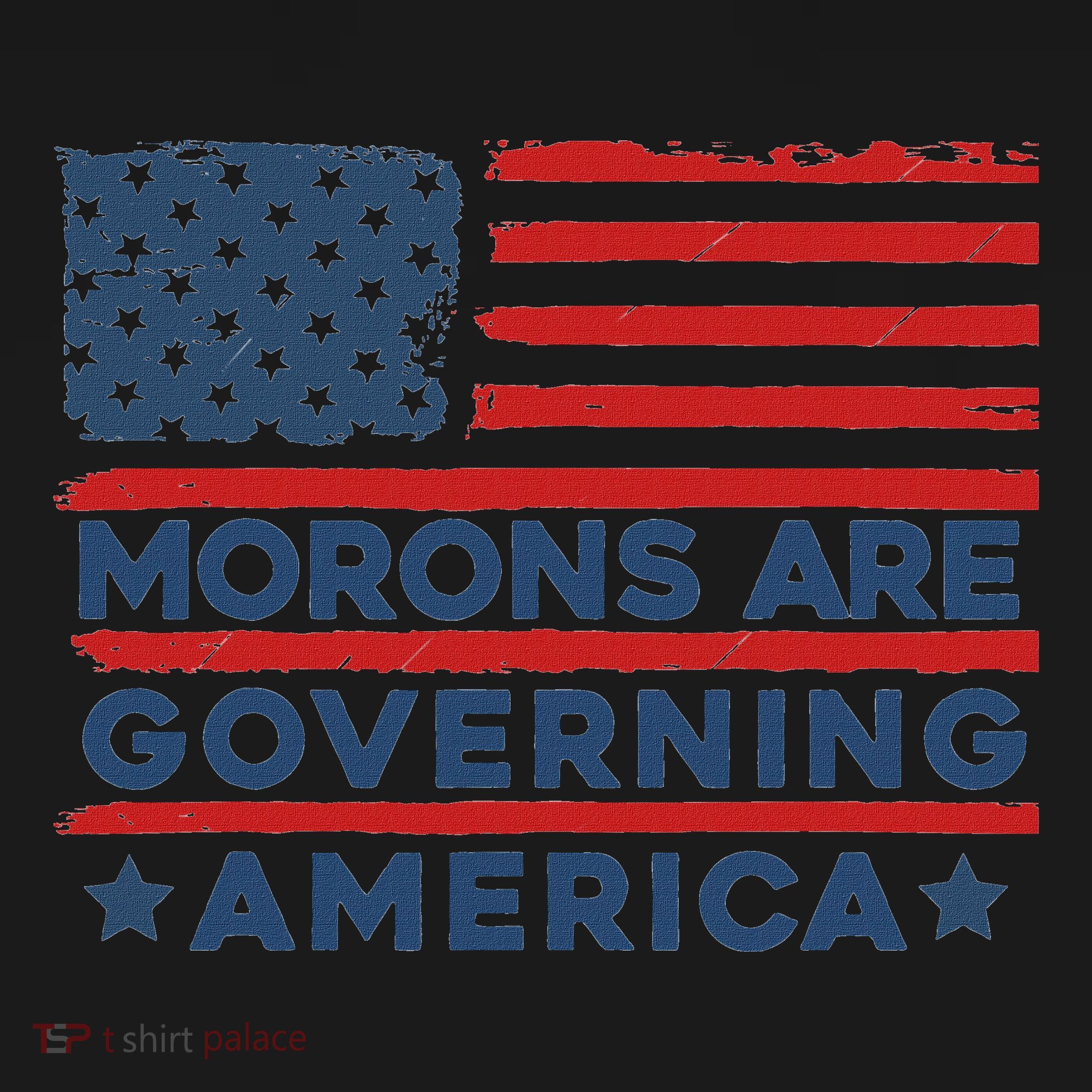 Morons Are Governing America Political Satire Long Sleeve Shirt