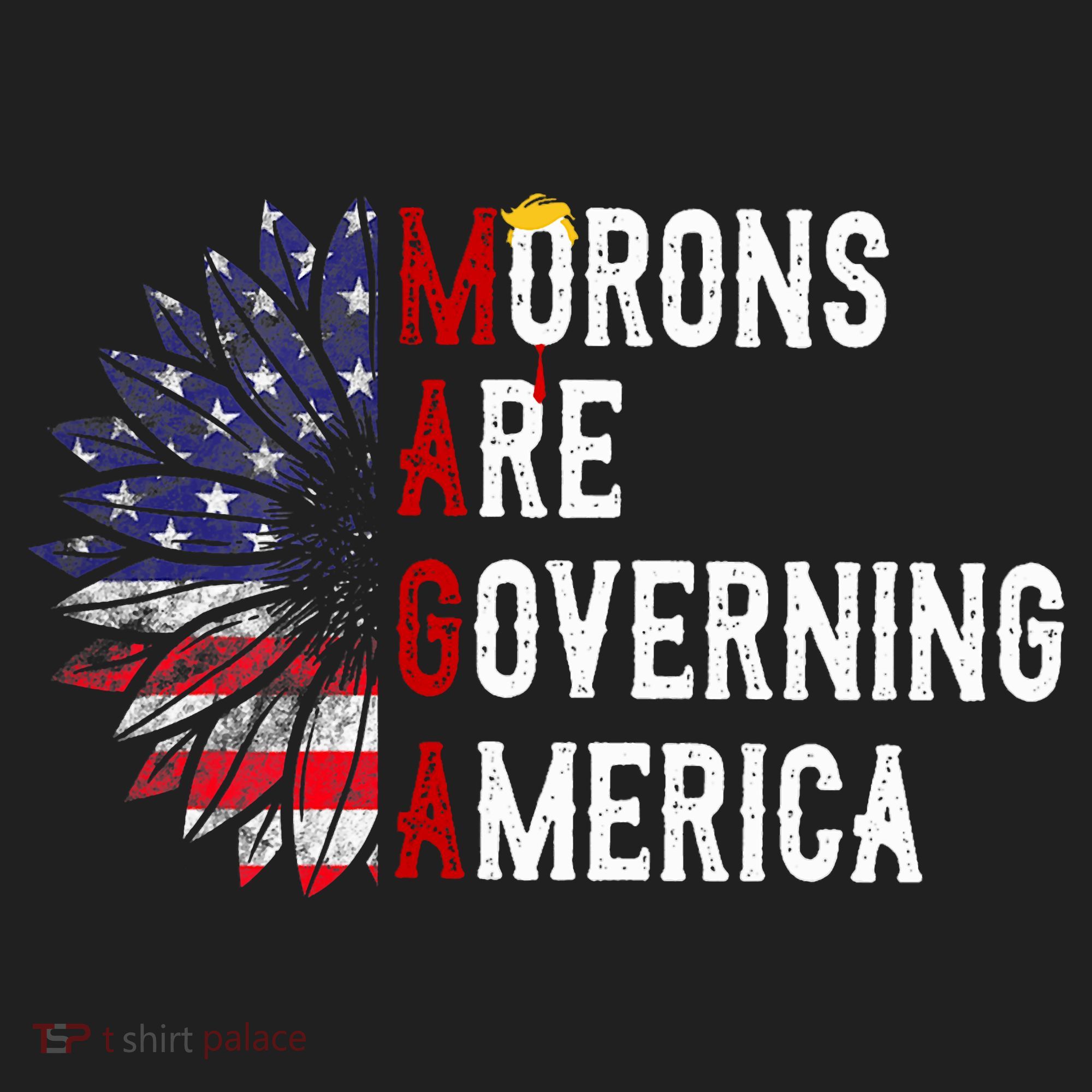 Morons Are Governing America Hat