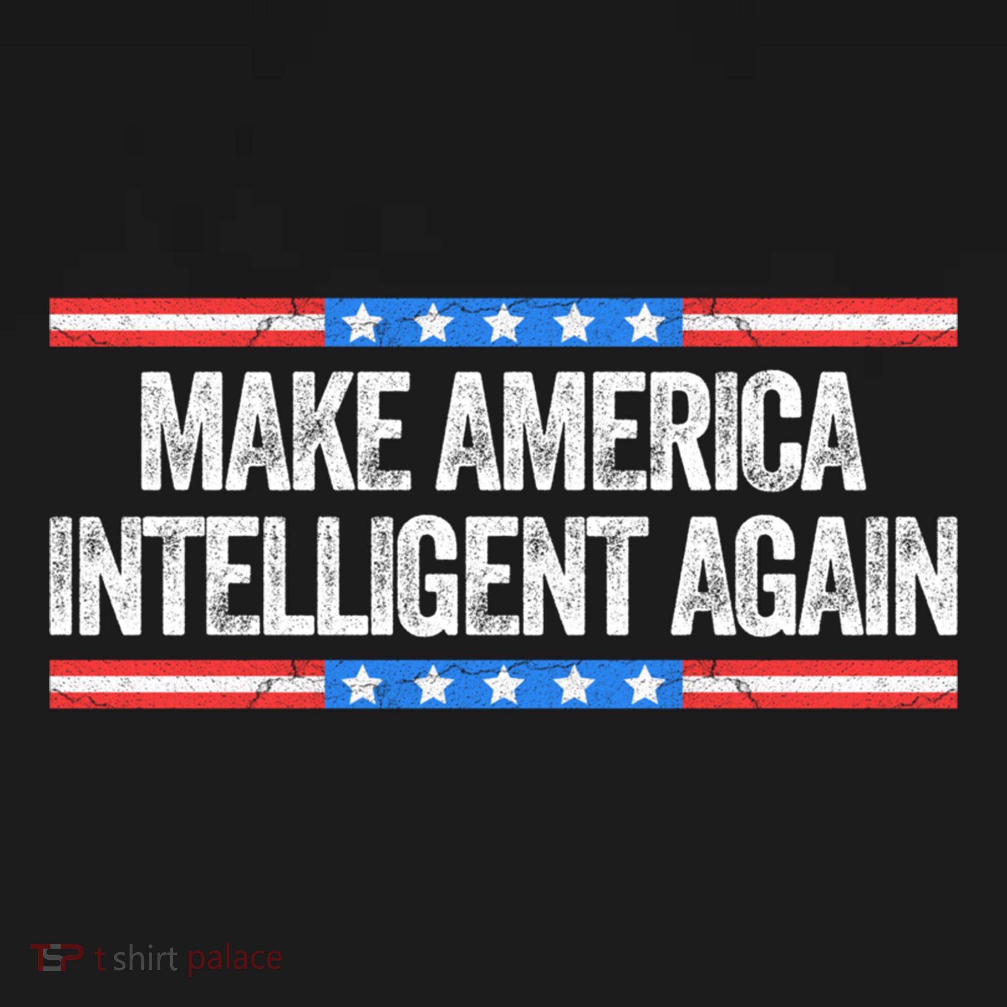 Make America Intelligent Again Funny Us Patriotic July 4th Gift Women's Hoodie