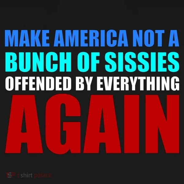Make America Not A Bunch Of Sissies Hoodie