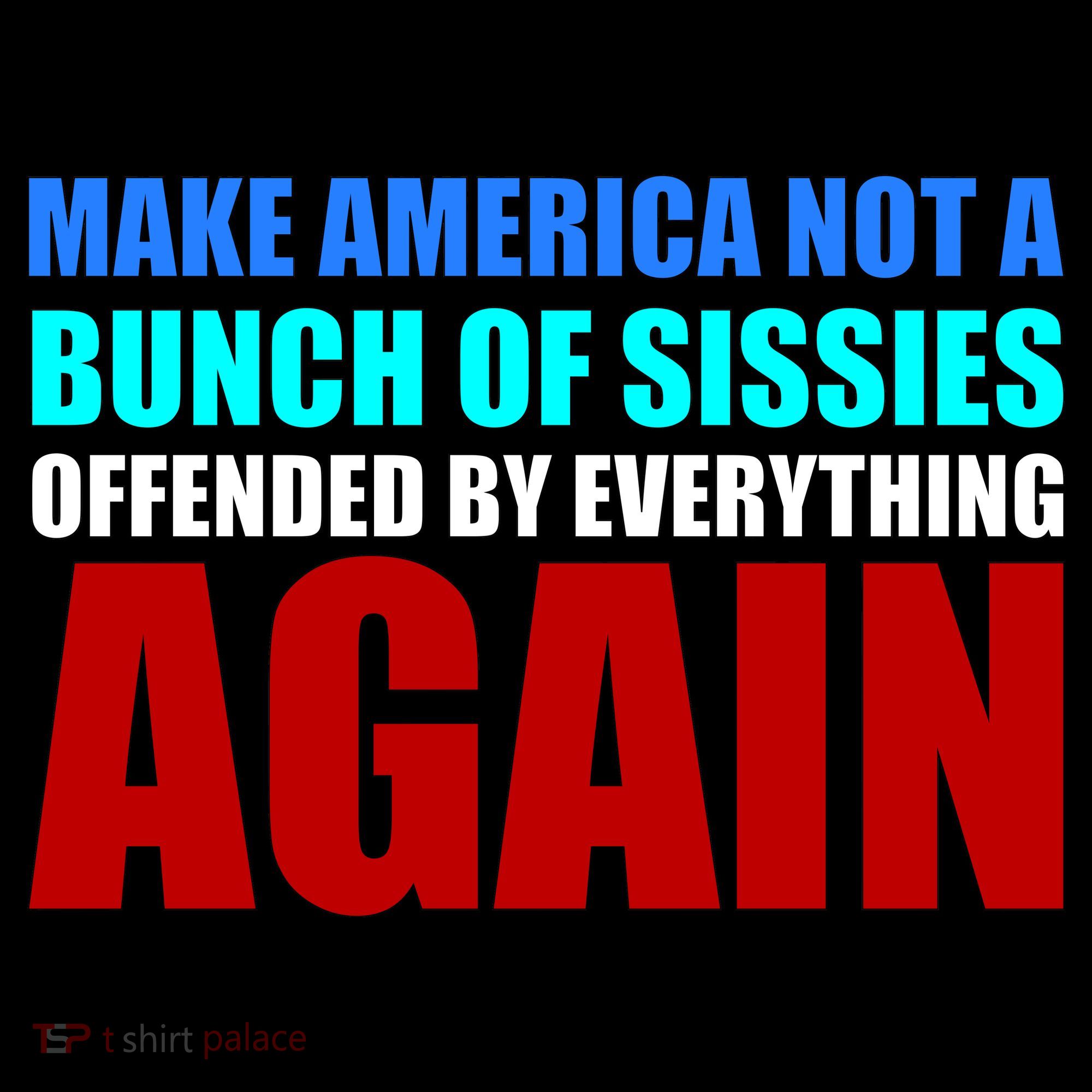 Make America Not A Bunch Of Sissies Long Sleeve Shirt