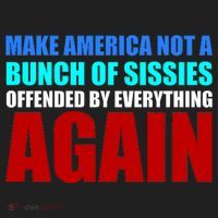 Make America Not A Bunch Of Sissies Beanie thumb 2