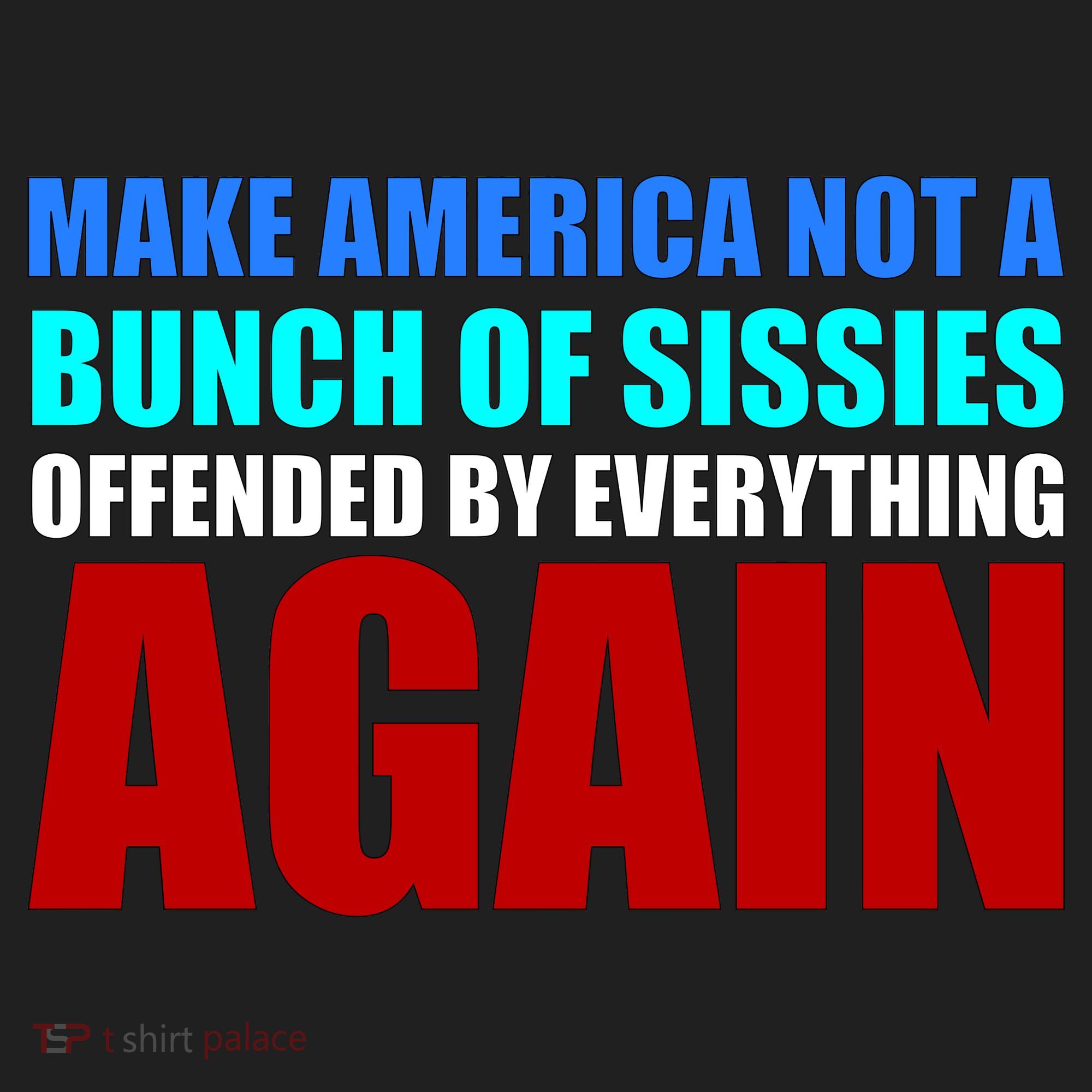Make America Not A Bunch Of Sissies Beanie