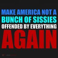 Make America Not A Bunch Of Sissies Kids Sweatshirt thumb 2
