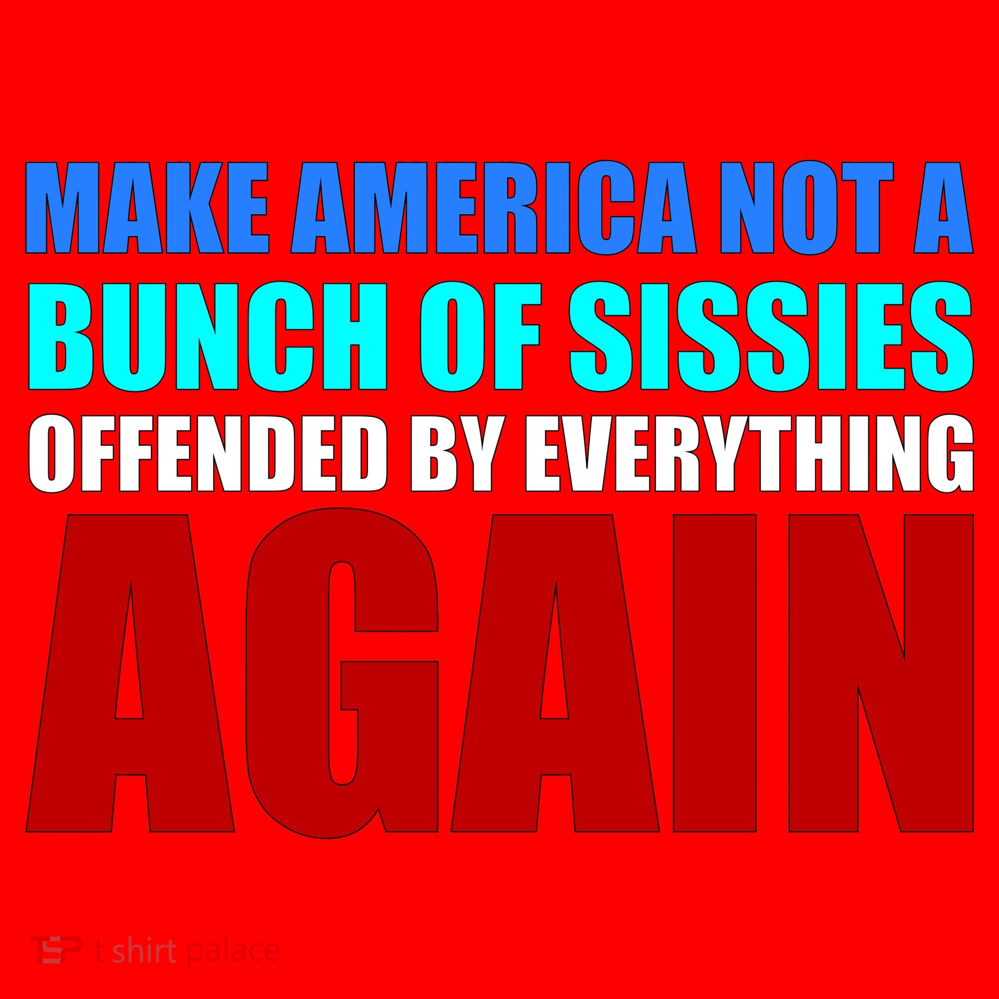 Make America Not A Bunch Of Sissies Santa Hat