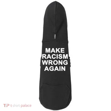 Make Racism Wrong Again Doddie Hoodie
