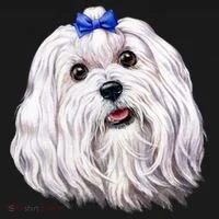Maltese Doggie Tank thumb 4