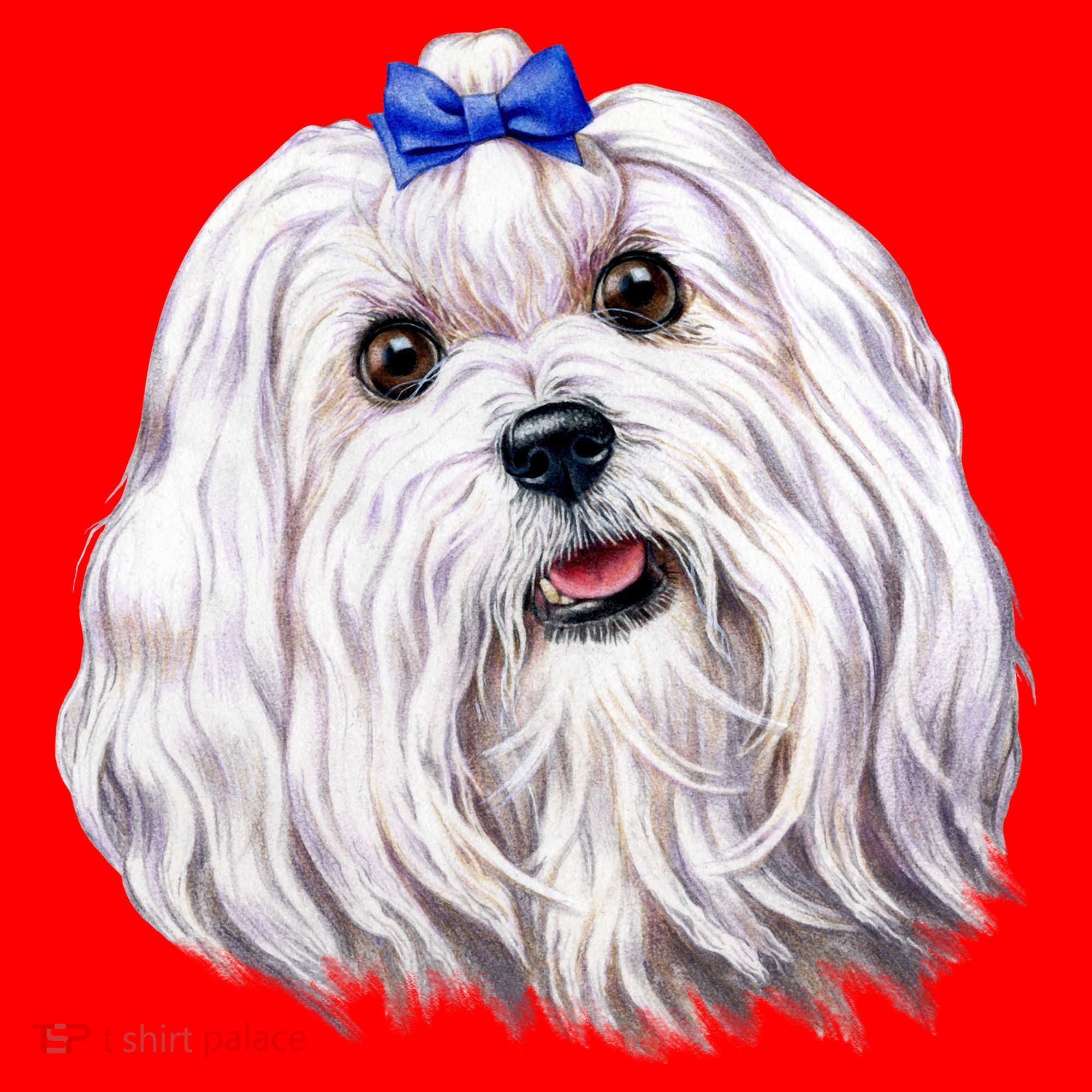 Maltese Santa Hat
