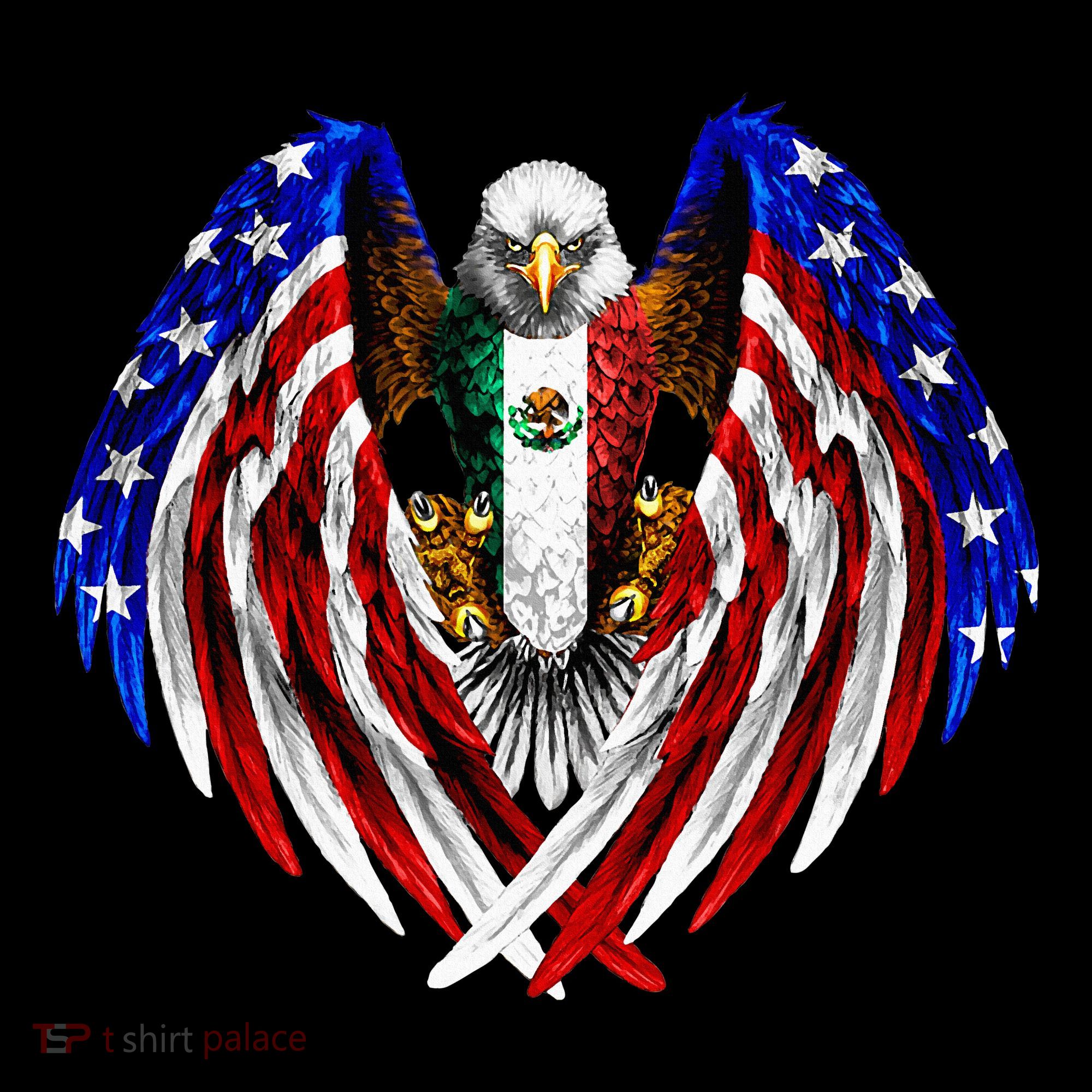 Mexican American Mexico Usa Flag Eagle Hoodie