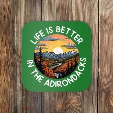 Moose Adirondack Mountains Life Is Better In The Adirondacks Coaster