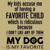 My Accuse Me Of Having A Favorite Child Which Is Ridiculous Because I Dont Lik Polo thumb 2
