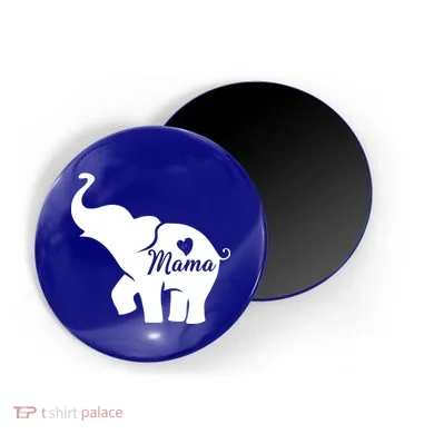 Magnet