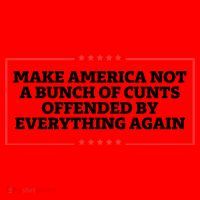 Make America Not A Bunch Of Cunts Offended By Everything Again Santa Hat thumb 1
