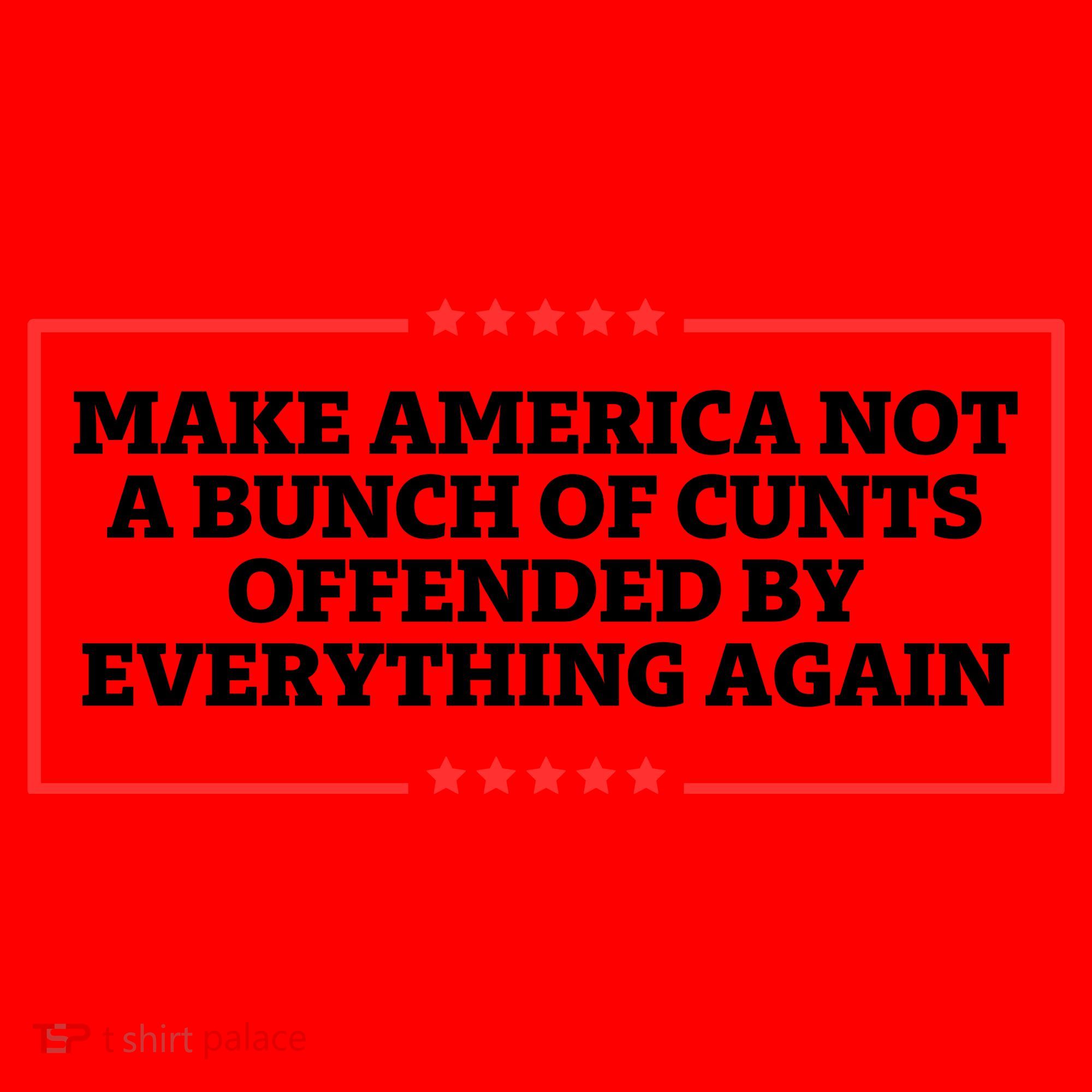 Make America Not A Bunch Of Cunts Offended By Everything Again Santa Hat