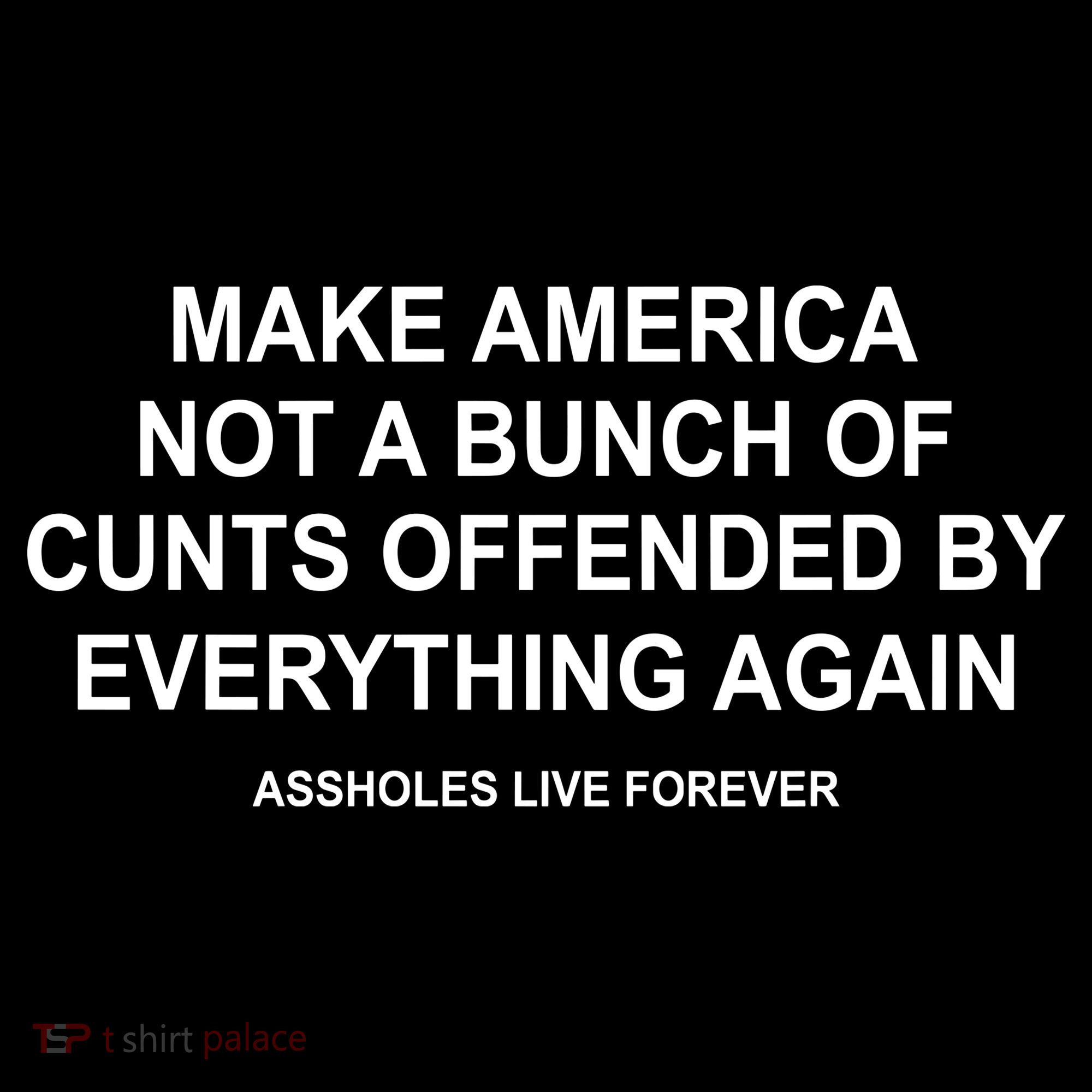 Make America Not A Bunch Of Cunts Offended By Everything Again Baby Bodysuit