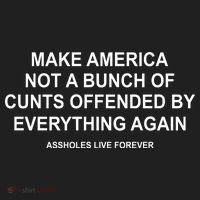 Make America Not A Bunch Of Cunts Offended By Everything Again Hat thumb 2