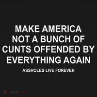 Make America Not A Bunch Of Cunts Offended By Everything Again Women's Long Sleeve Shirt thumb 2