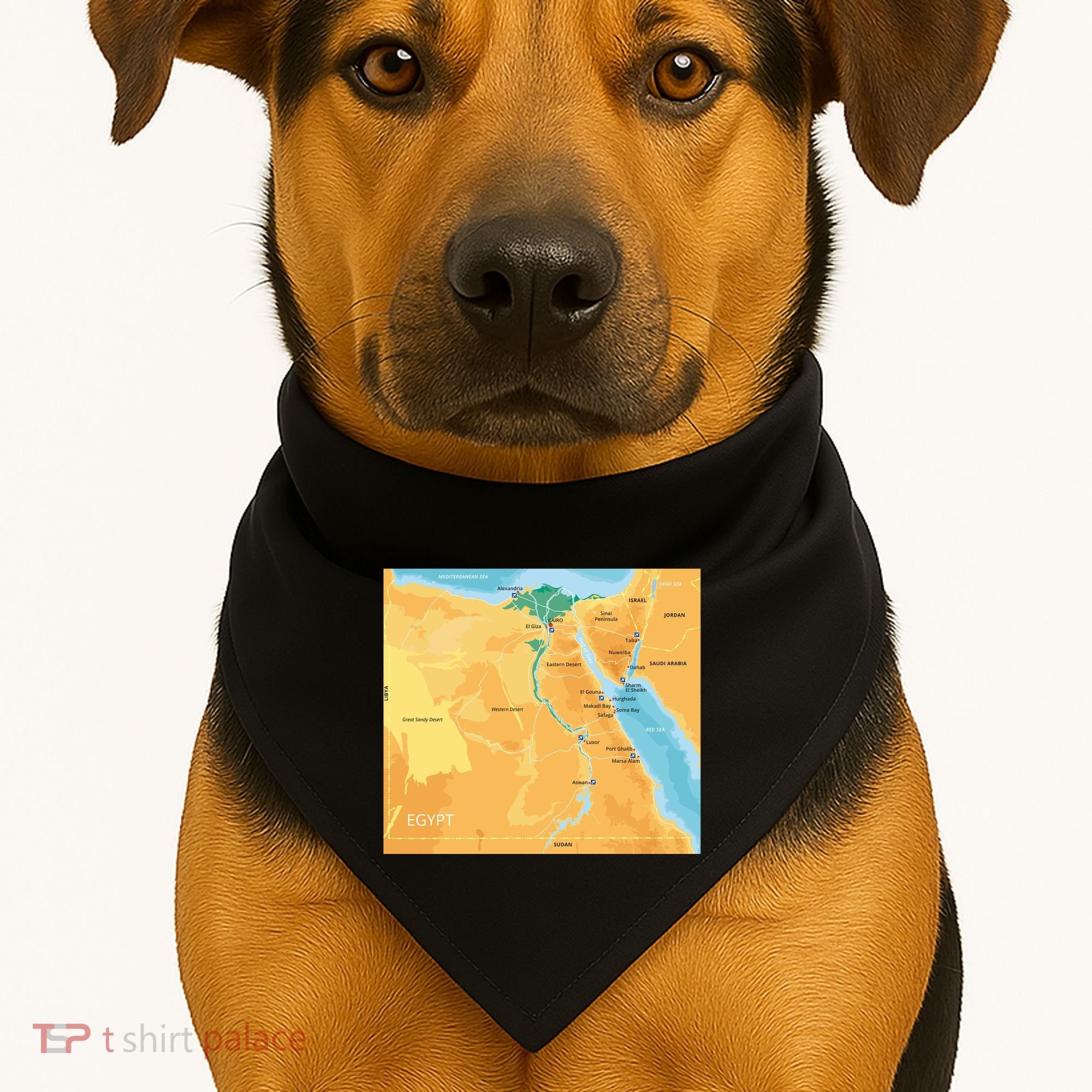 Map of Egypt USA-Made Doggie Bandana