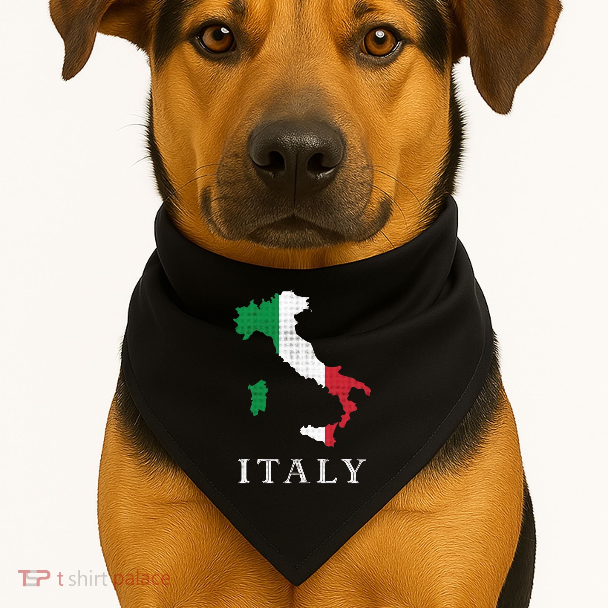 Map Of Italy  USA-Made Doggie Bandana