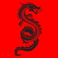 Martial Arts Red Chinese Firedrake Dragon Print Art Santa Hat thumb 1