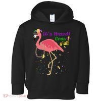 Mardi Gras Flamingo Toddler Hoodie thumb 0