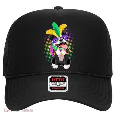 Mardi Gras Party Dog Hat