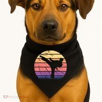 Martial Arts Retro USA-Made Doggie Bandana thumb 1