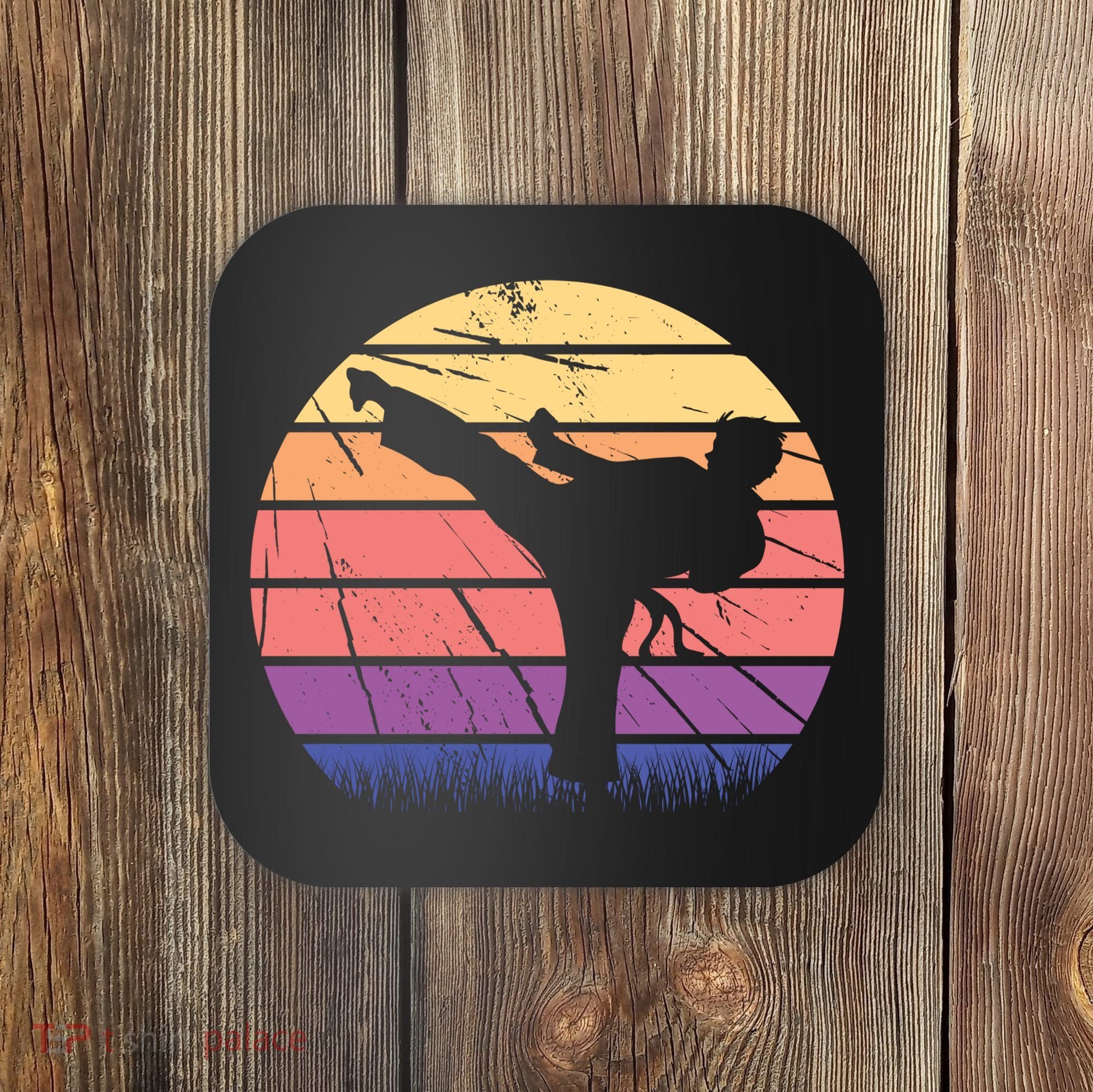 Martial Arts Retro Coaster