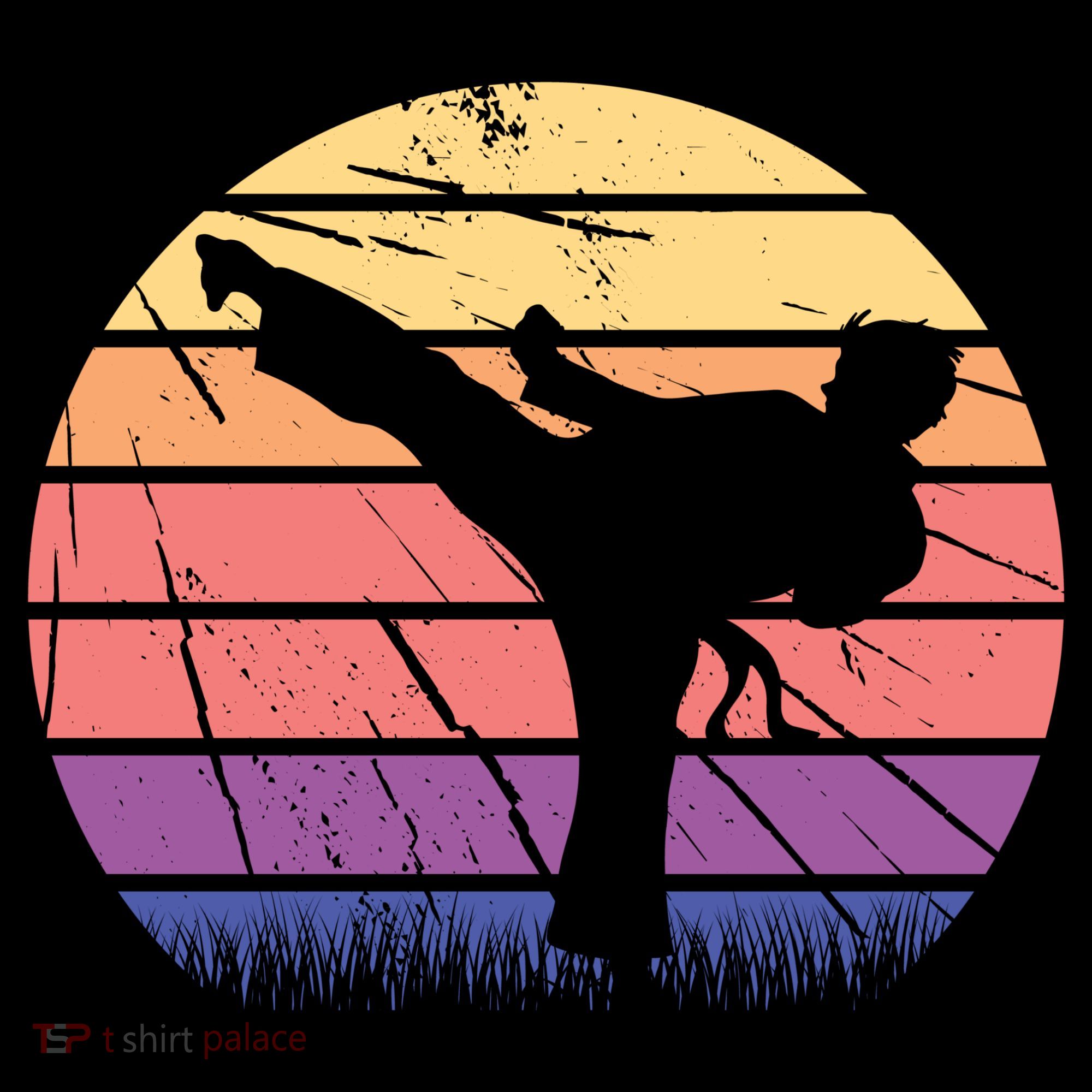 Martial Arts Retro Coaster