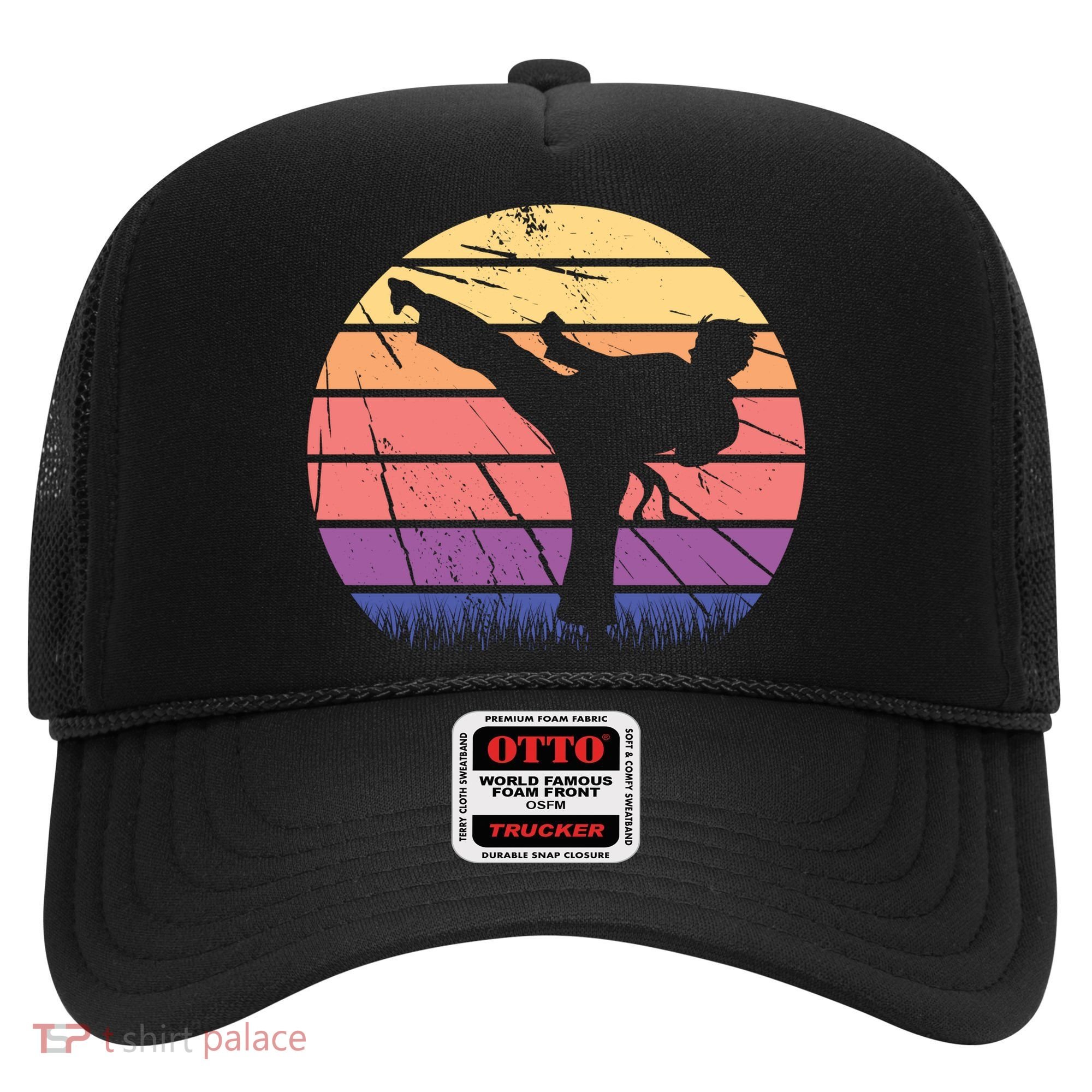 Martial Arts Retro Hat