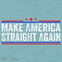 Make America Straight Again Sueded Cloud Jersey T-Shirt thumb 2