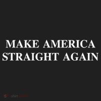 Make America Straight Again District V.I.T. Heavyweight Hoodie thumb 2