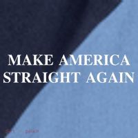 Make America Straight Again Raglan Baseball Sleeve Shirt thumb 2