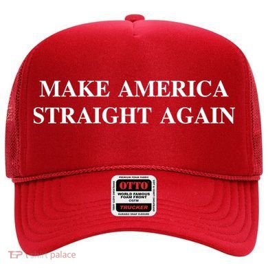 Make America Straight Again Hat