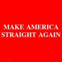 Make America Straight Again Women's Long Sleeve Shirt thumb 2