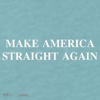 Make America Straight Again Sueded Cloud Jersey T-Shirt thumb 2