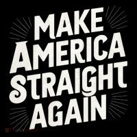 Make America Straight Again Toddler Hoodie thumb 2
