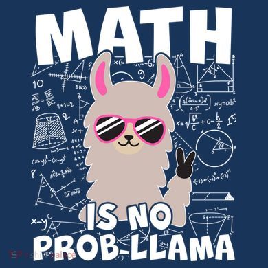 Math Is No Prob-llama Hoodie