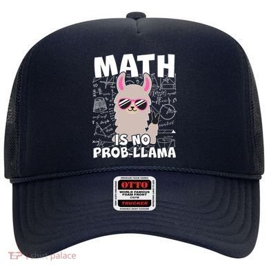 Math Is No Prob-llama Hat