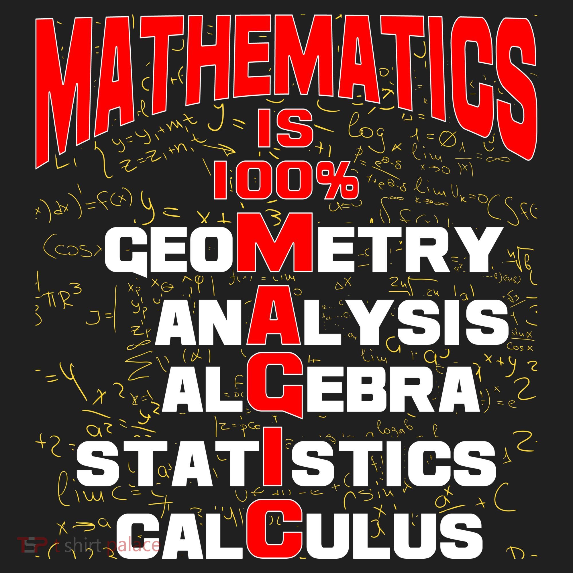 Mathematics Is 100 Percent Magic  Tumbler