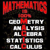 Mathematics Is 100 Percent Magic  Ornament thumb 1