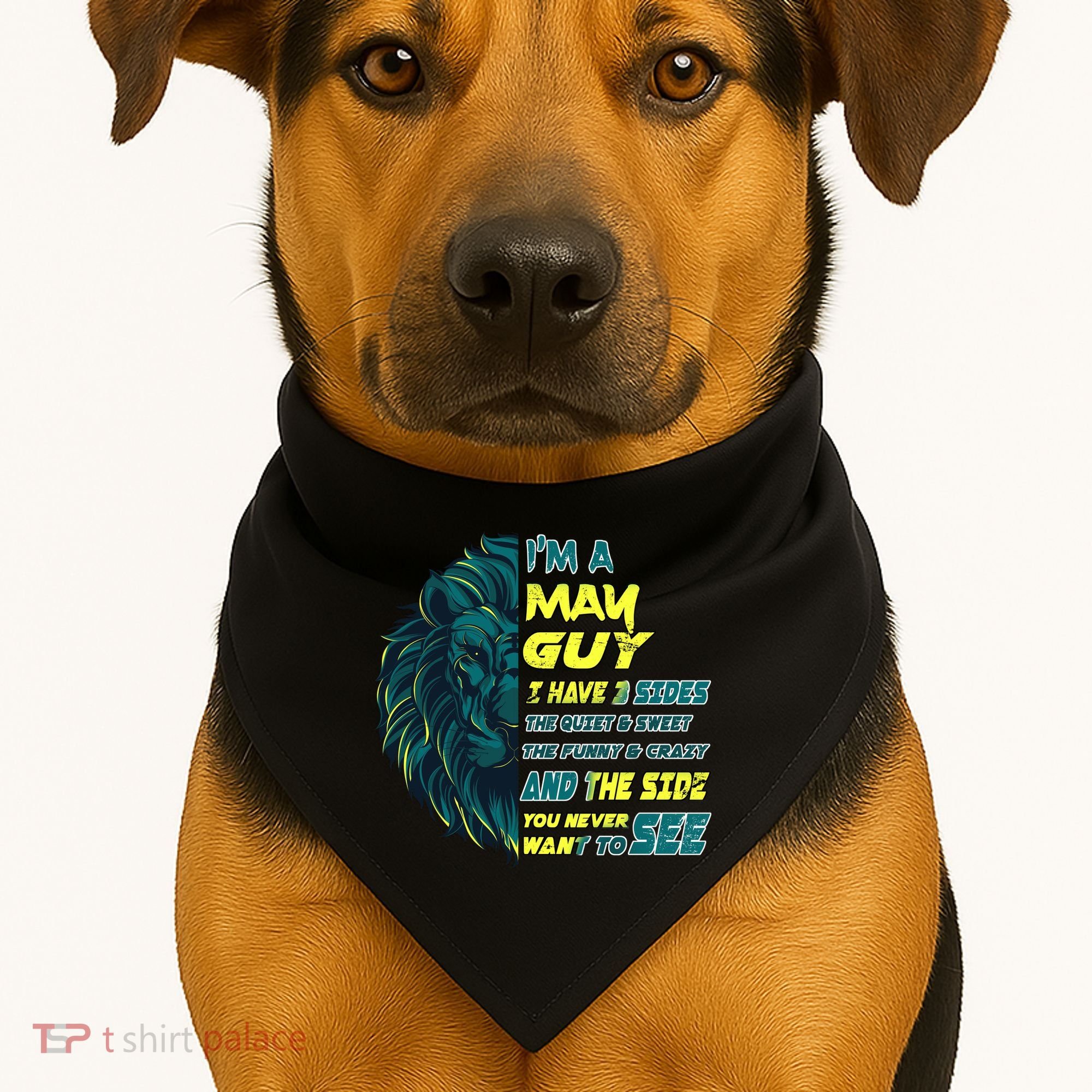 May Birthday Guy Has 3 Sides Sweet Funny Crazy  USA-Made Doggie Bandana
